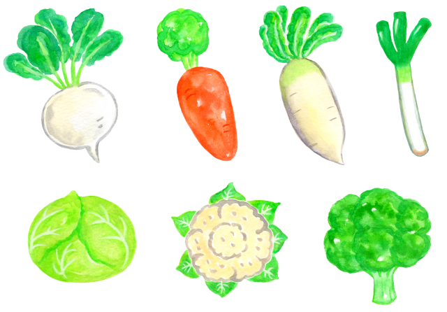 手描きの冬の野菜のイラストのセット シンプル おしゃれ 食べ物 食材 季節 果物 フルーツ の Stock ベクターAdobe Stock