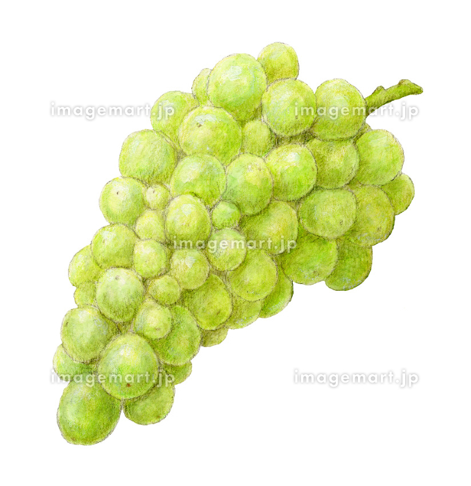 信州 塩尻市特産ナイアガラ原遊覧園・原農園