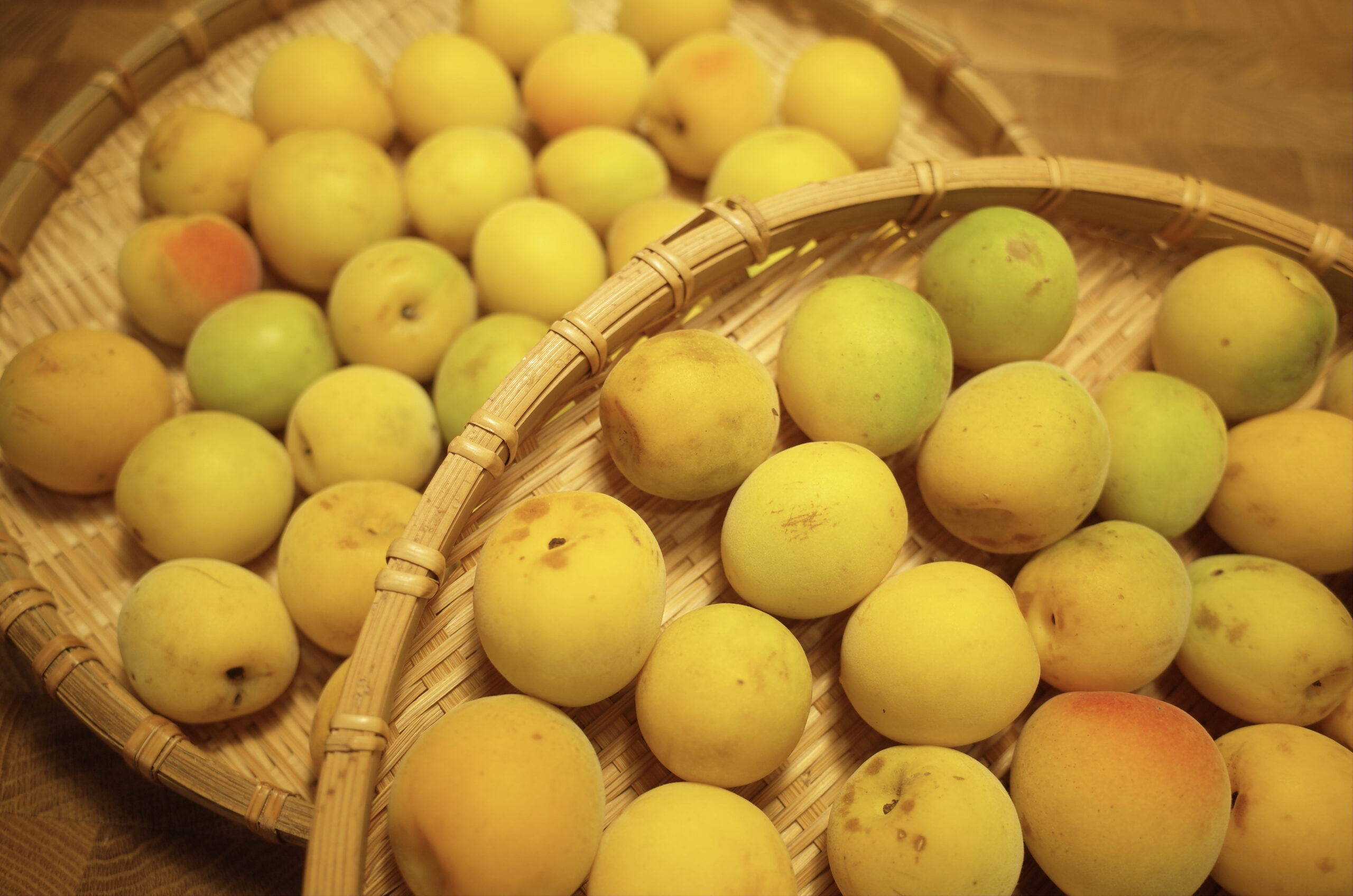 初心者でも失敗しない梅干しの漬け方 塩分濃度20%同情するなら酒をくれ