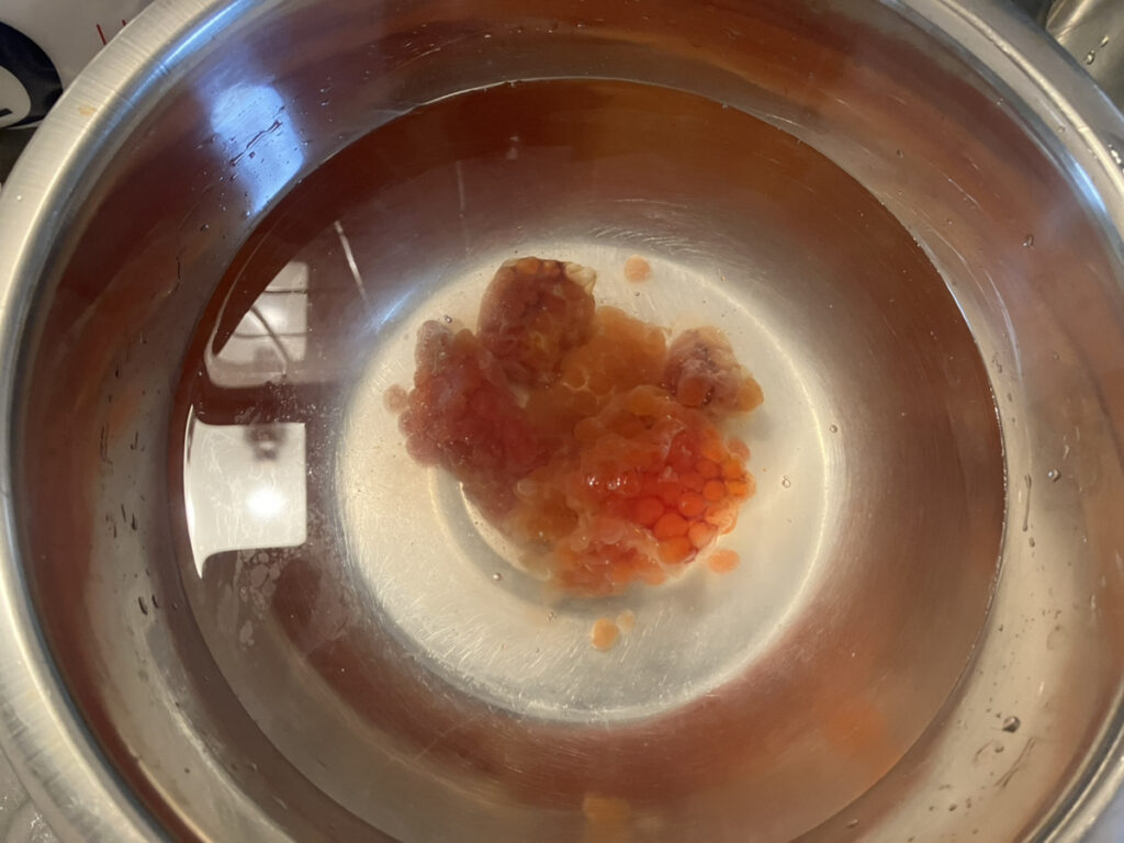 簡単焼き網で 筋子のほぐし方