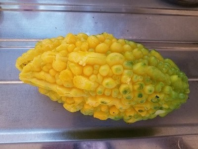 完熟ゴーヤの甘酢漬け 半日漬けます