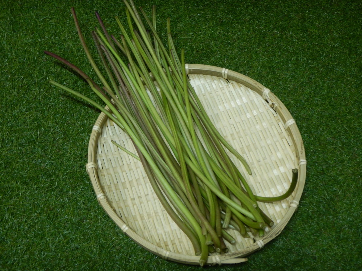 芋づるの食べ方 – 料理が楽しくなる情報サイト