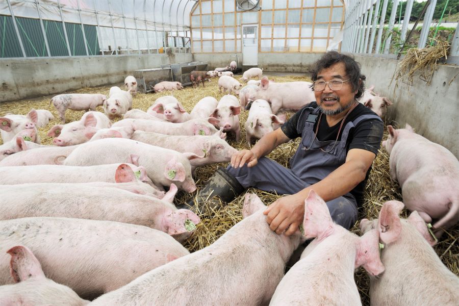 ブタの飼料について?大阪府立農芸高等学校