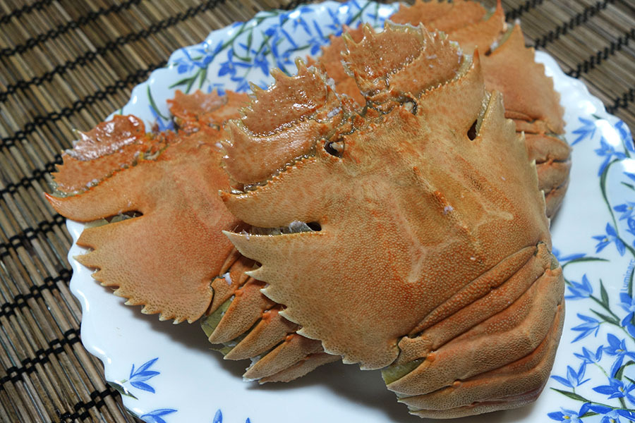 うちわ海老 ウチワエビ 団扇海老 : 旬の魚介百科