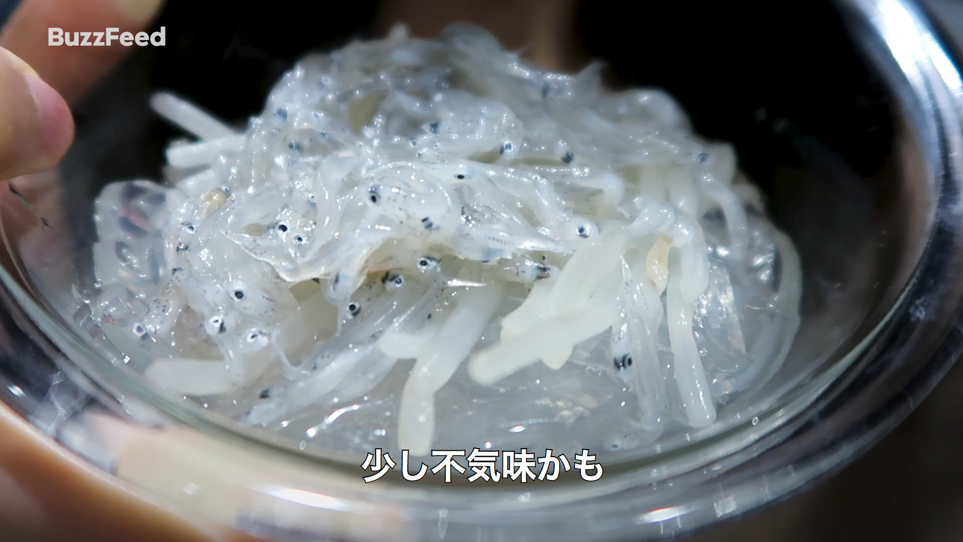 透明で細長い小魚」の美味しい季節が到来 シラウオとシロウオは別魚？TSURINEWS