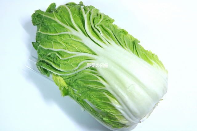 財運をもたらす野菜『白菜』!? やみつきレシピ教えます 季節・暮らしの話題 2017年01月07日- 日本気象協会 tenki.jp