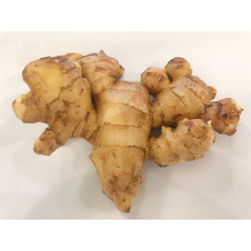 有機新しょうが 新生姜 100グラム - 有機野菜・有機栽培の通販・販売は大地と自然の恵み