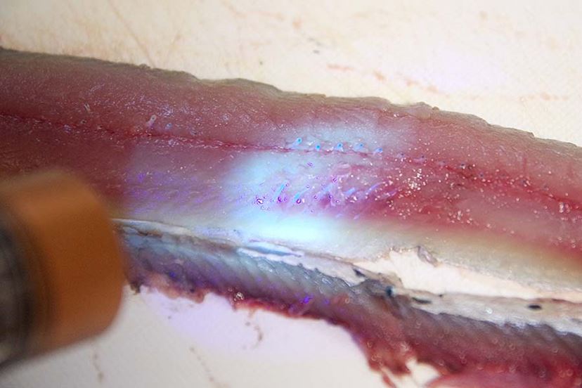 ニューヨック中野 - suocca