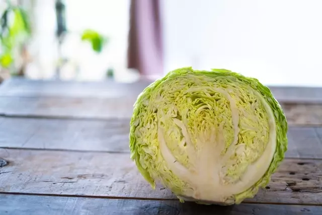 千切りキャベツのスライサー使用時の飛び散り防止策やキャベツの洗い方は？SAKURA BLOG