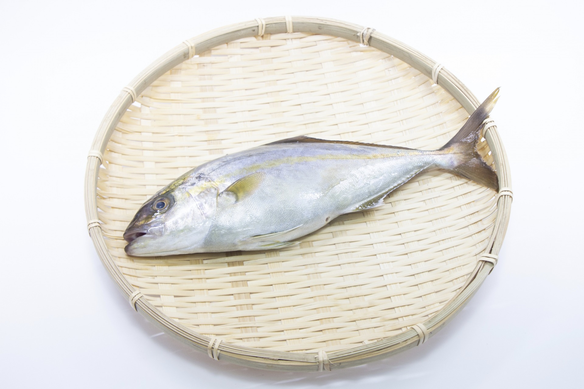 沖縄県の県魚「グルクン」ことタカサゴを食べ尽くす！ヌローライフ