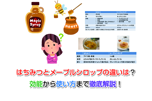 モンファボリ メープルシロップ取扱商品富永貿易株式会社富永貿易株式会社