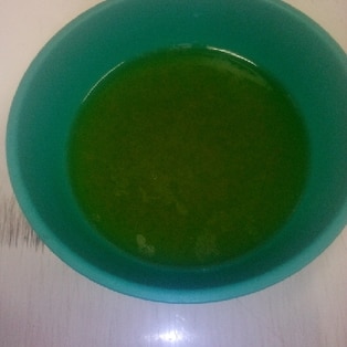 何にでも使える。ネギなし塩だれ