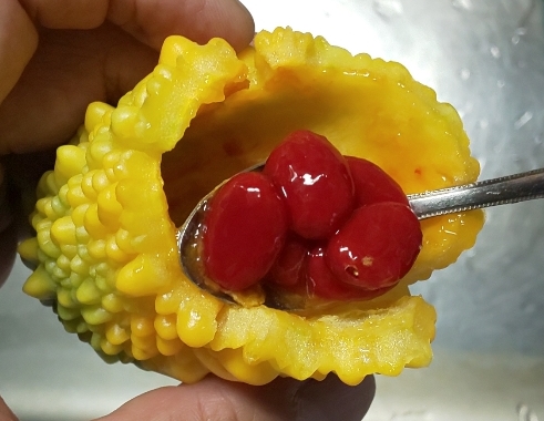 黄色いゴーヤの中は・？犬飼タオル株式会社