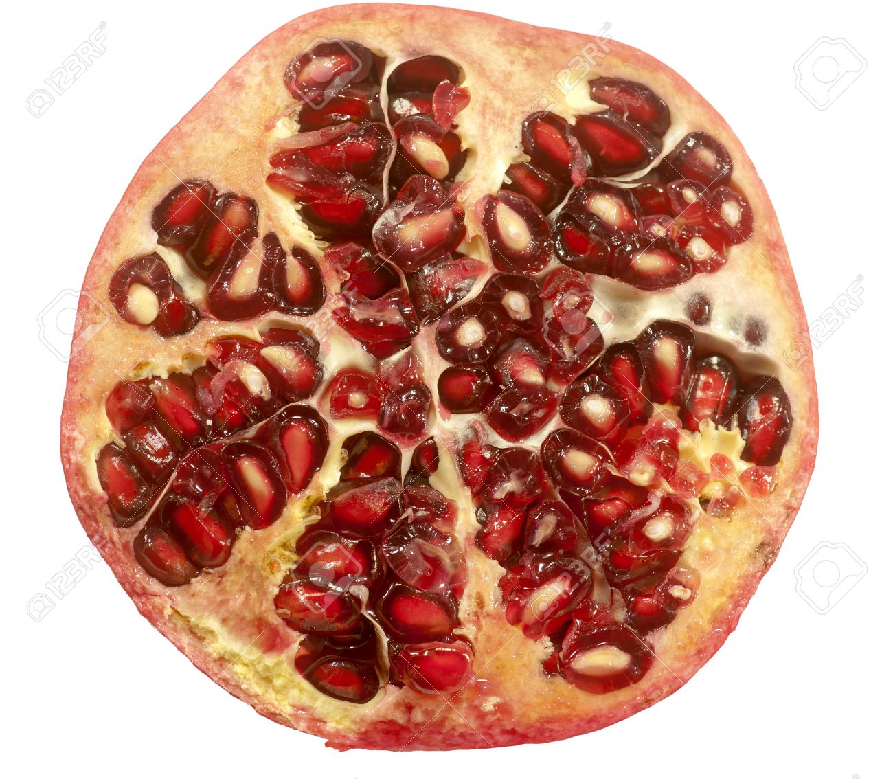 ザクロのスイカのグレープフルーツパパイヤ熱帯果実手描きの水の色の断面ポストカードパッケージデザイン」のベクター画像素材 ロイヤリティフリー2280192805Shutterstock