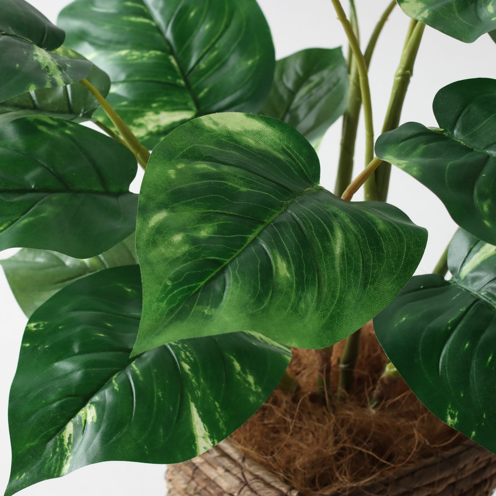 クーポン配布中 フェイクグリーン 観葉植物 アガベ 約W63×D63×H50cm No3563N2 プレミアム光触媒フェイクグリーンそのまま飾れる完成形デザイン 「自然な濃淡の葉 × 美しく整った枝ぶりエバーリーフ ベンジャミン系 2本立高さ89cm×幅40cm×奥行33cm」造花