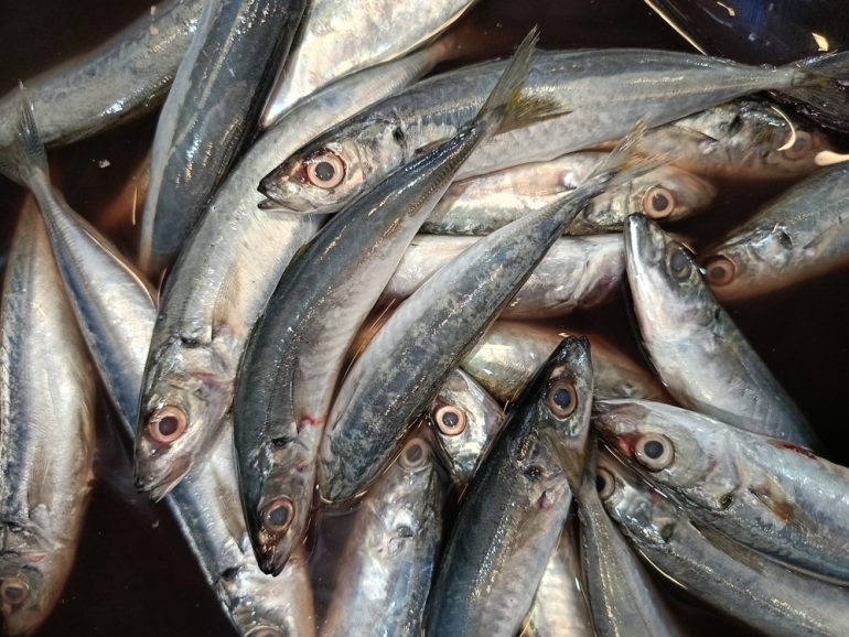 節分って年に4回もあるって知っていますか？豆まきと「柊鰯」の由来LOVEGREEN ラブグリーン