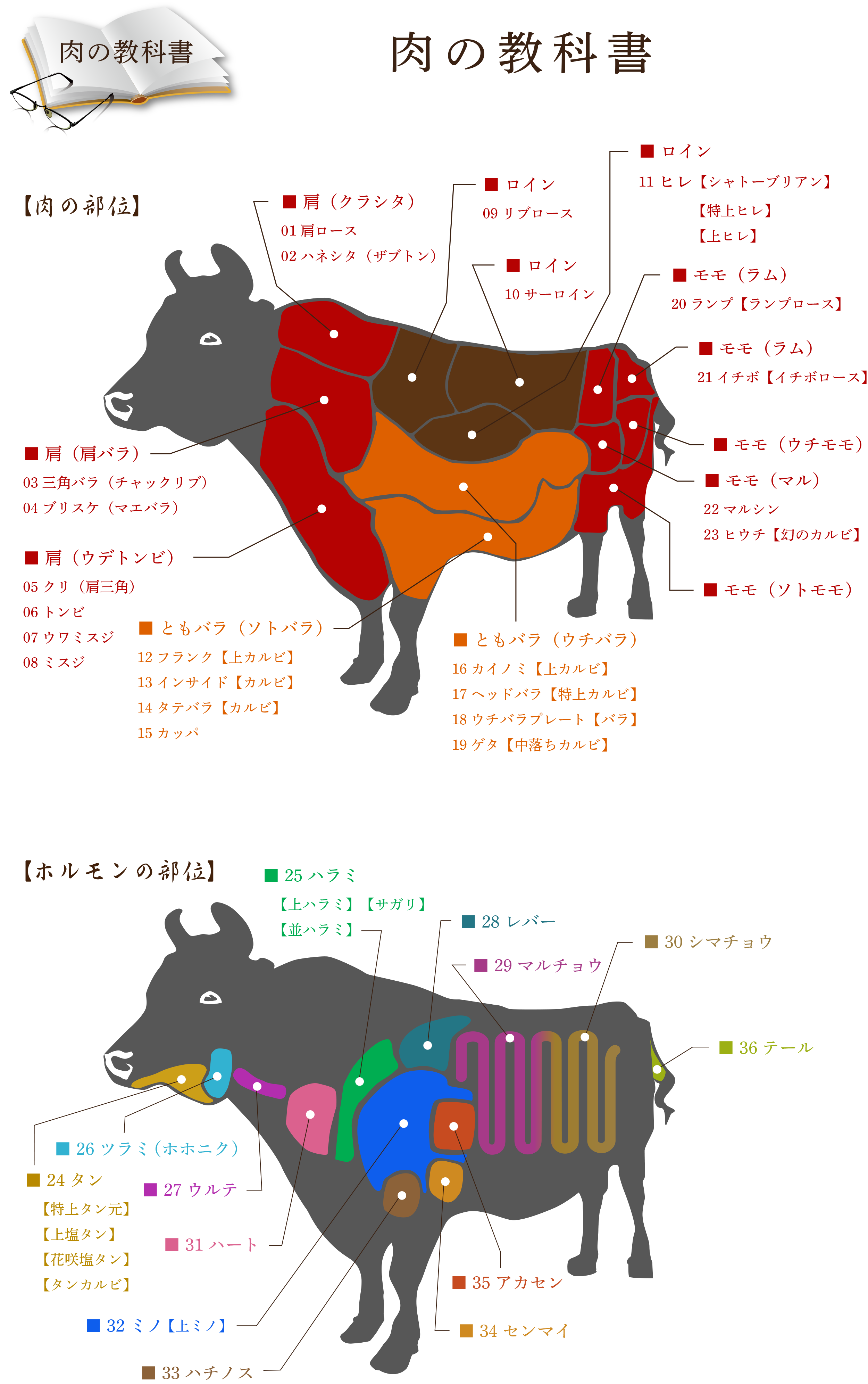 センマイ刺しとは牛の第3胃の特徴や食感と栄養価、安全な下処理と美味しい食べ方を徹底解説東京の高級焼肉店は、店主が作るメニューが自慢