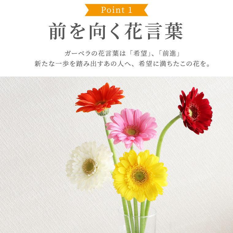 ブーケの花言葉 ブーケ選びの参考に！ブーケによく使われる花の種類と花言葉を紹介結婚ラジオ結婚スタイルマガジン