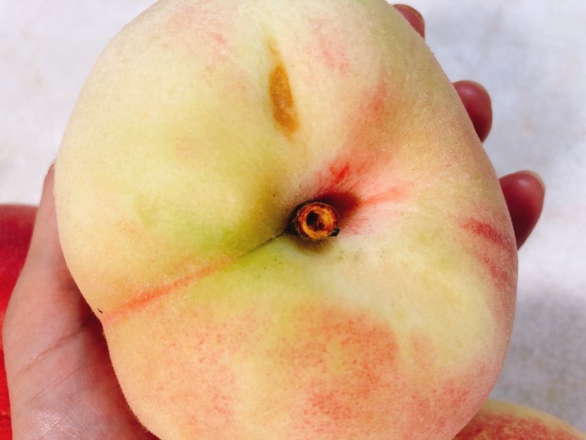 あかつき 桃 の食べごろはいつ？旬の時期や追熟方法・美味しい食べ方を紹介！ - COCORO FARM VILLAGE