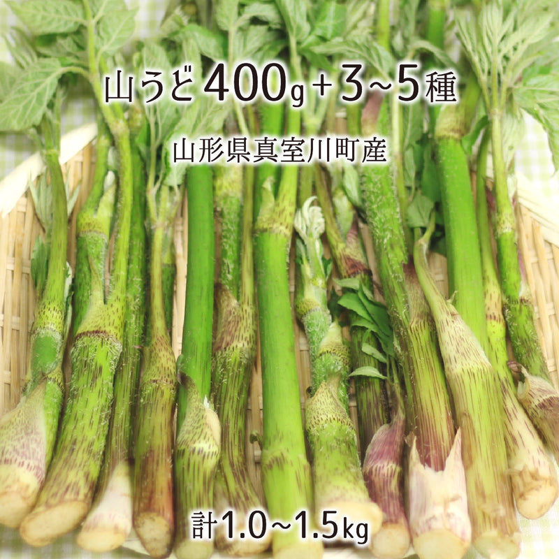 ウドのおいしい食べ方・下処理方法絶品レシピも紹介食・料理オリーブオイルをひとまわし