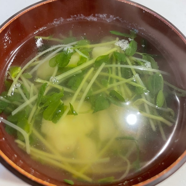 豆苗ポタージュ豆苗&ブロッコリースプラウトのレシピ満載！村上農園のレシピサイト村上農園でつくる