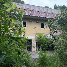 廃墟巡りin千葉②油井グランドホテル ホテル活魚無骨な日常