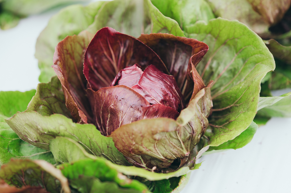 トレビス丸友中部青果
