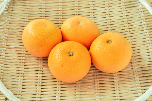 紅八朔業務用食材の仕入れなら八面六臂