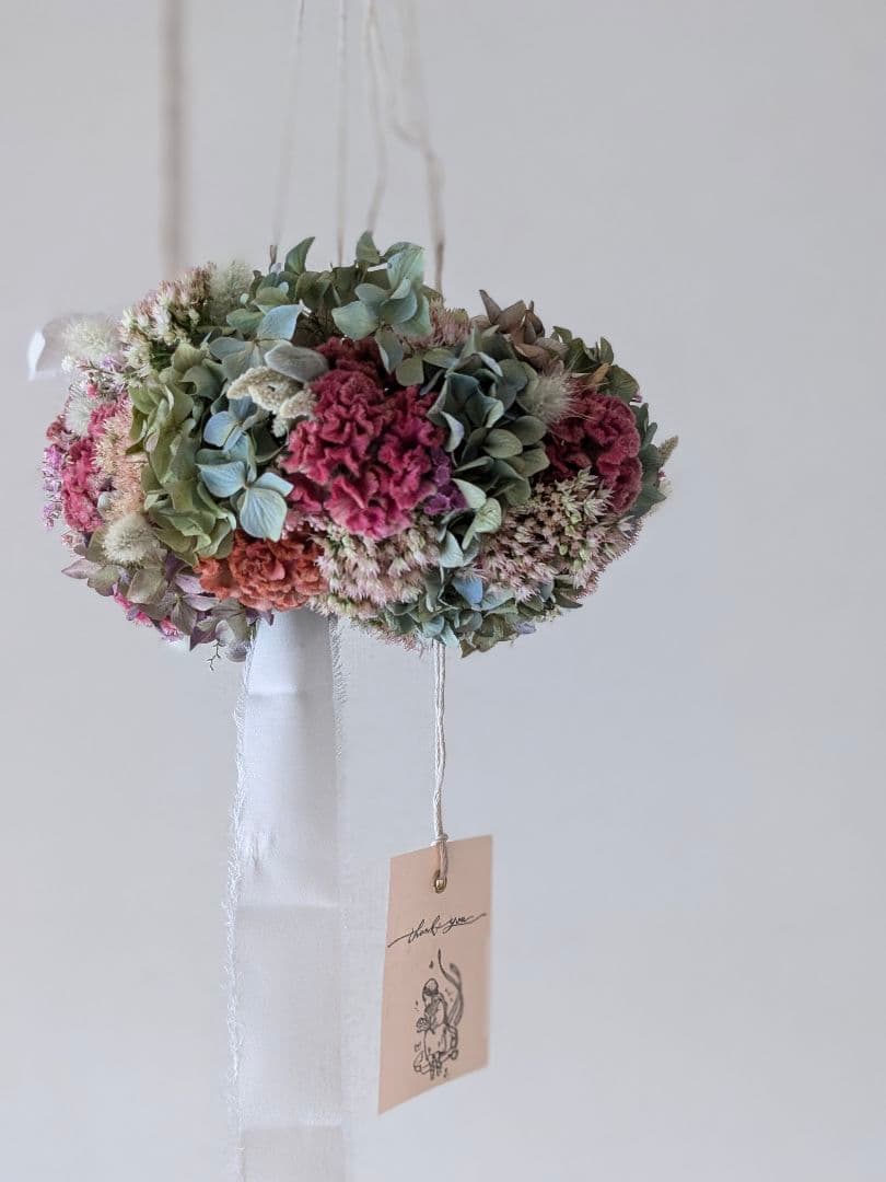 🌼『花toYUKU』🌼秋の花🌼ふくおかナビ