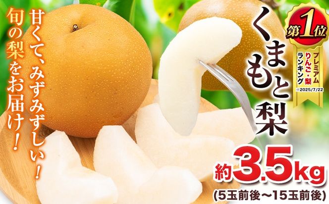 ふるさと納税訳アリ！先行予約 小林果樹園の梨 6〜10玉 約3kg朝どり みずみずしい 梨 なし ナシ フルーツ 果物 豊水 あきづき 新高にっこり 愛宕 新雪 王秋 新興 常総市 2025年最新 関東地方,梨のふるさと納税 人気お礼品ランキング 週間ふるさと納税