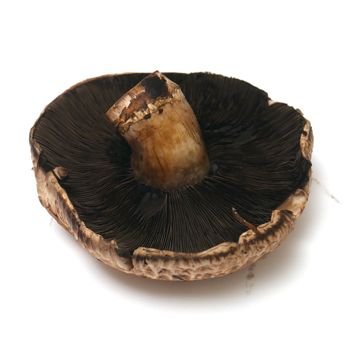 コストコの巨大マッシュルーム オーガニックポータベラマッシュルーム 454gコストコ通 コストコおすすめ商品の紹介ブログ