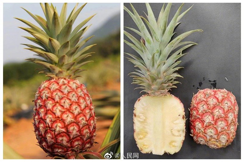 蕁麻疹の原因とは？症状や治療法について解説ヒロオカクリニック