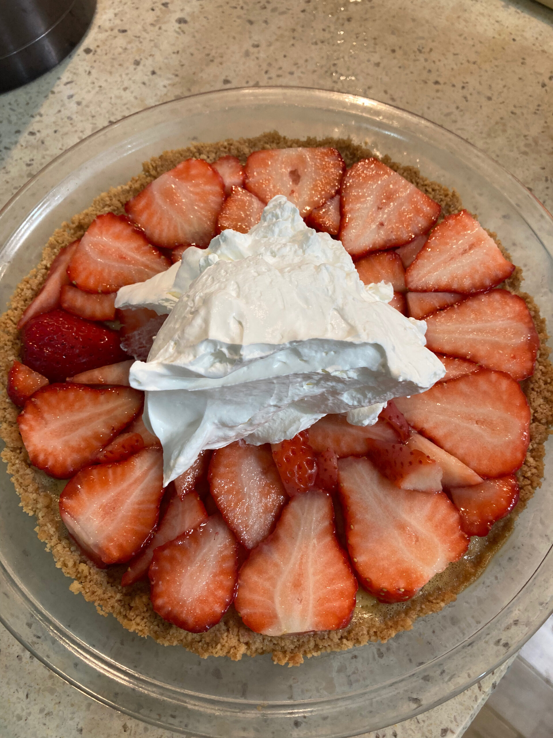 ヨーグルトでレアチーズケーキ 作り方TikTok