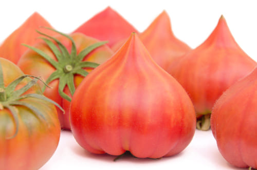 フルーツトマト・甘ほっぺ 兵庫県加東市の果物みたいに甘いトマト - 番組・特集・キャンペーンふるラボ