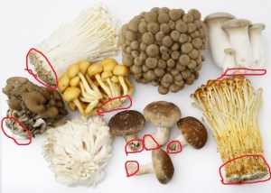 「まいたけ」の石づき、どこで切るが正解？「ひょっとして捨ててたかも？」元スーパーの店員が解説 ぱるとよ- エキスパート - Yahoo!ニュース