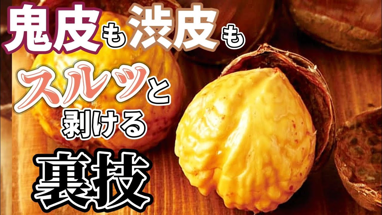 プロが教える誰でも出来る超簡単 な栗の皮剥き方法