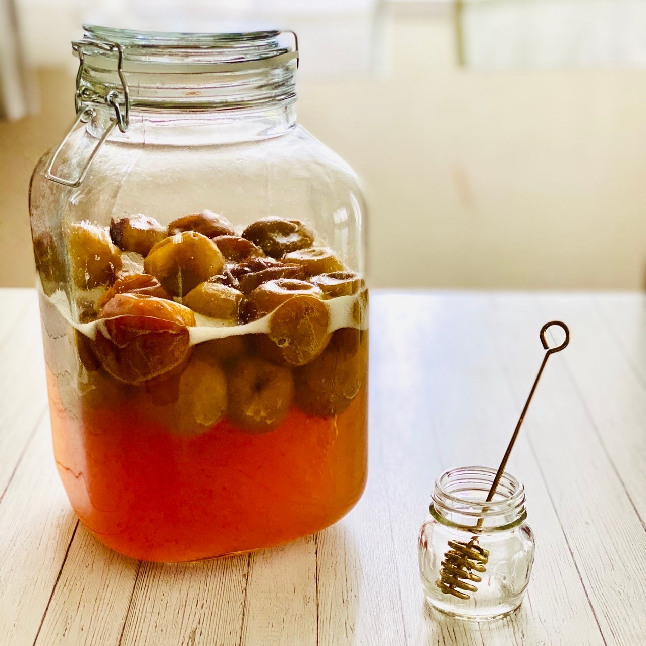 梅のはちみつ漬け│「健康な食」をデザインする ビオサポレシピ