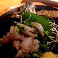 新宿の人気・おすすめ居酒屋14選！グルメ通が